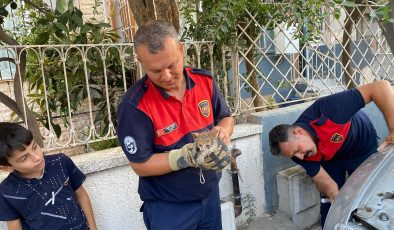 HATAY’DA ARACIN MOTOR KISMINDA MAHSUR KALAN KEDİ KURTARILDI