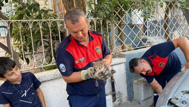 HATAY’DA ARACIN MOTOR KISMINDA MAHSUR KALAN KEDİ KURTARILDI
