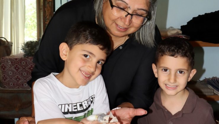 KOZALARDAN HAYATA: DEFNE KOZA EVİ’NDE DOĞAYA SAYGILI İPEK YOLCULUĞU