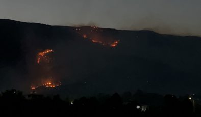 HATAY’DA 12. SAATTE ORMAN YANGINI SÜRÜYOR: BİN 800 KİŞİ TAHLİYE EDİLDİ   