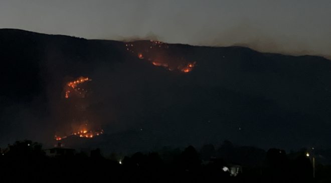 HATAY’DA 12. SAATTE ORMAN YANGINI SÜRÜYOR: BİN 800 KİŞİ TAHLİYE EDİLDİ   