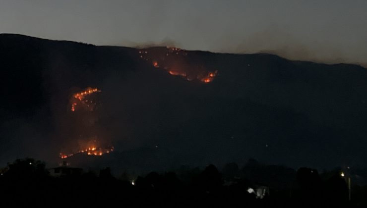 HATAY’DA 12. SAATTE ORMAN YANGINI SÜRÜYOR: BİN 800 KİŞİ TAHLİYE EDİLDİ   
