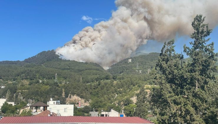  HATAY’DA ORMAN YANGINI   