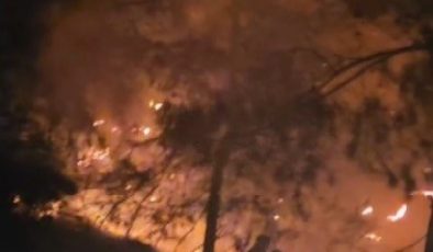 HATAY’DA ÇIKAN ORMAN YANGINI KISA SÜREDE KONTROL ALTINA ALINDI   