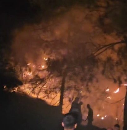 HATAY’DA ÇIKAN ORMAN YANGINI KISA SÜREDE KONTROL ALTINA ALINDI   