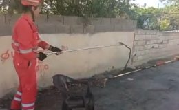 EVİN BAHÇESİNE GİREN YILANI İTFAİYE YAKALADI    