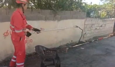 EVİN BAHÇESİNE GİREN YILANI İTFAİYE YAKALADI    