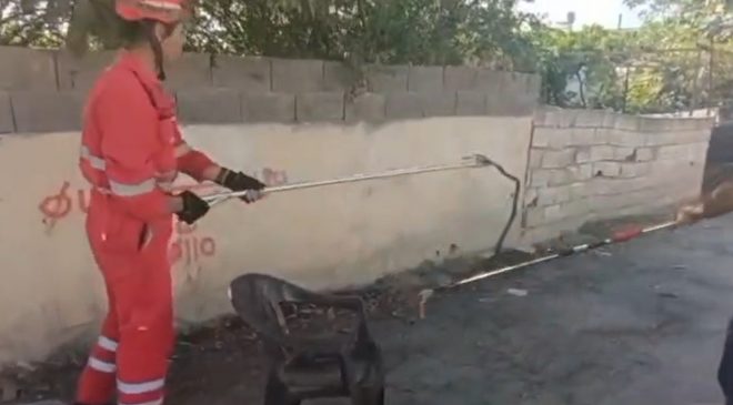 EVİN BAHÇESİNE GİREN YILANI İTFAİYE YAKALADI    