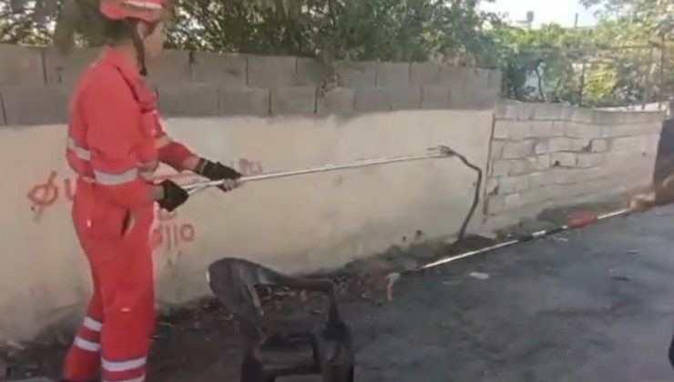 EVİN BAHÇESİNE GİREN YILANI İTFAİYE YAKALADI    