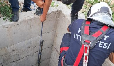 ANTAKYA’DA 10 METRELİK KUYUYA DÜŞEN KÖPEĞİ İTFAİYE KURTARDI   