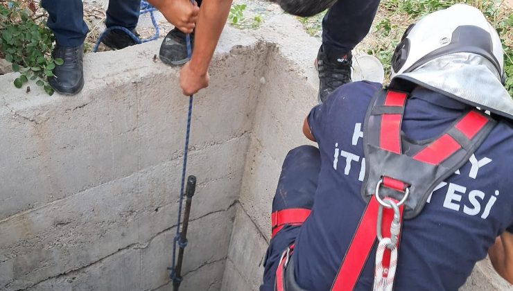 ANTAKYA’DA 10 METRELİK KUYUYA DÜŞEN KÖPEĞİ İTFAİYE KURTARDI   