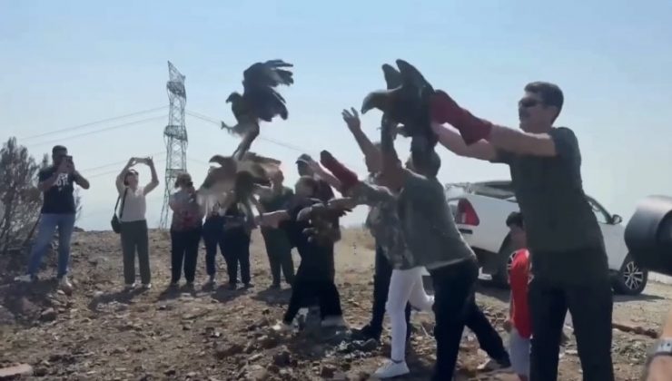 TEDAVİLERİ TAMAMLANAN 11 YABANİ KUŞ DOĞAYA SALINDI  