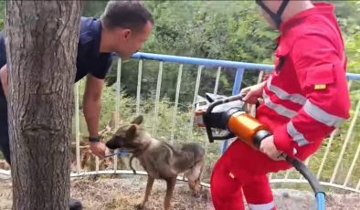 DEMİR KORKULUKLARA SIKIŞAN KÖPEĞİ İTFAİYE KURTARDI   