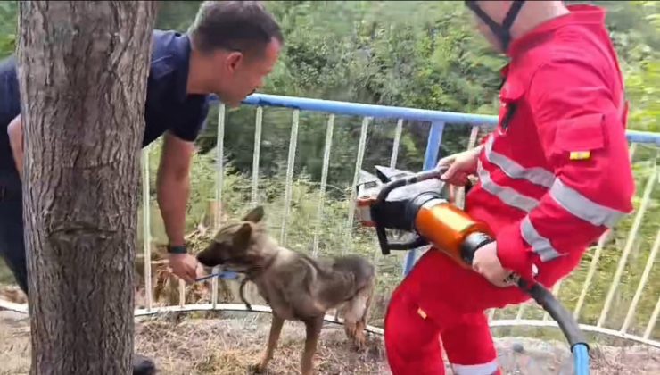 DEMİR KORKULUKLARA SIKIŞAN KÖPEĞİ İTFAİYE KURTARDI   