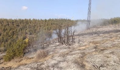 BELEN’DE ORMANLIK ALANDA YANGIN ÇIKTI   