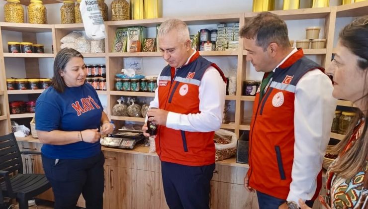 HATAY’DA GÜVENİLİR GIDA İÇİN DENETİMLER SÜRÜYOR   