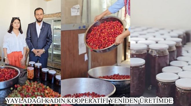 YAYLADAĞI KADIN KOOPERATİFİ YENİDEN ÜRETİMDE