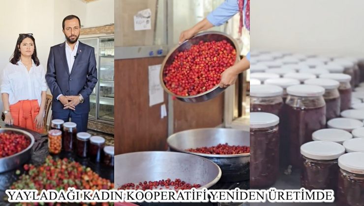 YAYLADAĞI KADIN KOOPERATİFİ YENİDEN ÜRETİMDE