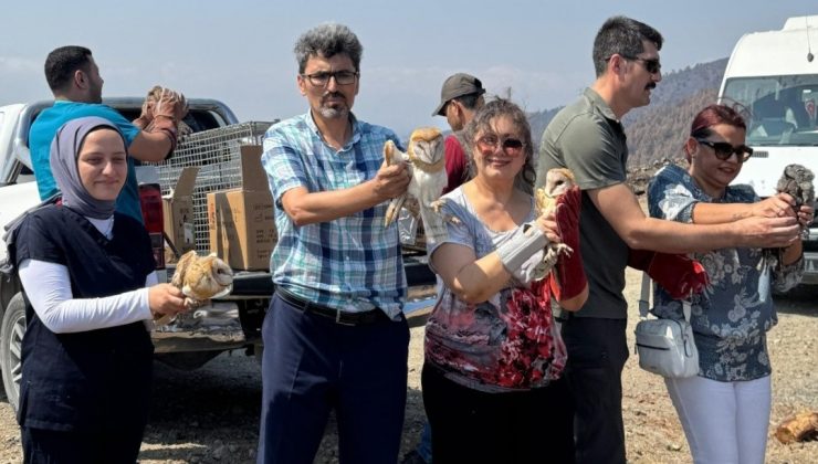 MKÜ’DE TEDAVİLERİ TAMAMLANAN 13 YABANİ KUŞ DOĞAYA SALINDI