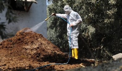 AKDENİZ MEYVE SİNEĞİYLE MÜCADELEDE ÜRETİCİYE DESTEK