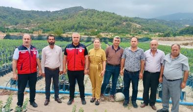 İL TARIM MÜDÜRÜ TÜRKMEN, FİDAN ÜRETİM SAHALARINI İNCELEDİ   