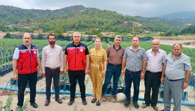 İL TARIM MÜDÜRÜ TÜRKMEN, FİDAN ÜRETİM SAHALARINI İNCELEDİ   