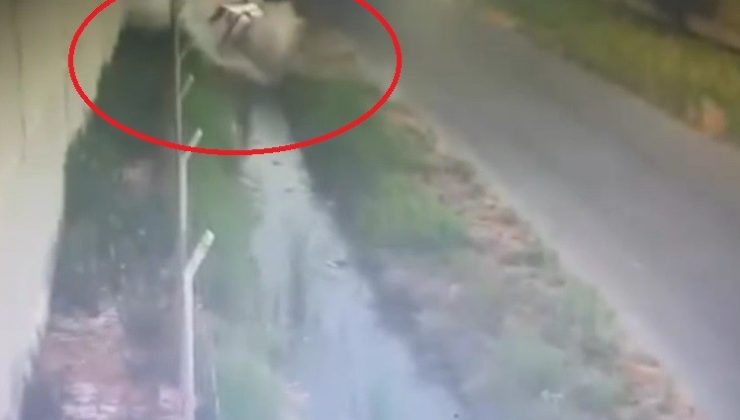 OTOMOBİL SULAMA KANALINA UÇTU 