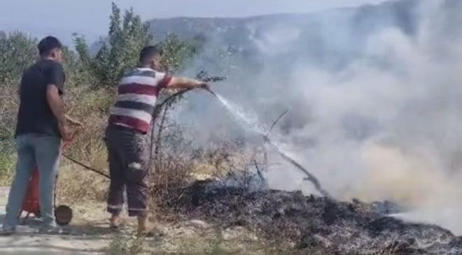 HATAY’DA SICAKTAN KOPAN ELEKTRİK TELİ YANGINA NEDEN OLDU  