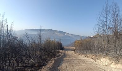HATAY’DA ORMAN YANGINI KONTROL ALTINA ALINDI   