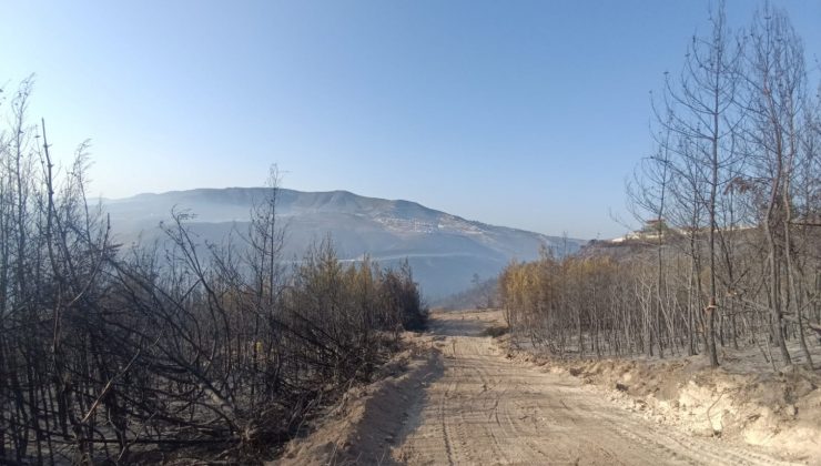 HATAY’DA ORMAN YANGINI KONTROL ALTINA ALINDI   