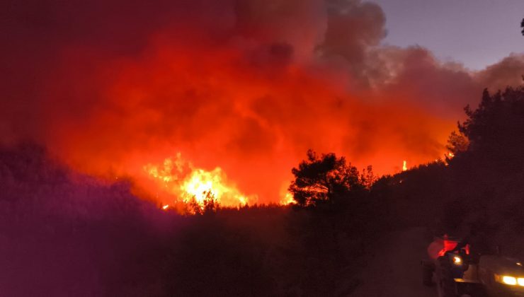  HATAY’DA ORMAN YANGINI   