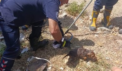 KUYUYA DÜŞEN YAVRU KÖPEK KURTARILDI   