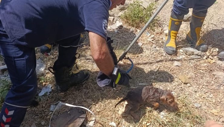 KUYUYA DÜŞEN YAVRU KÖPEK KURTARILDI   