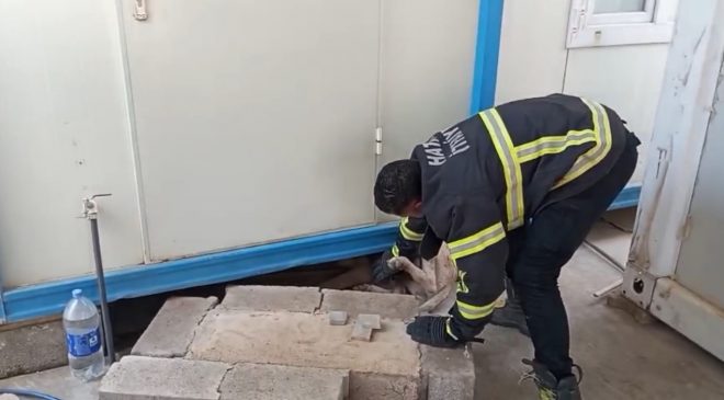 HATAY’DA KONTEYNERİN ALTINA SIKIŞAN KÖPEK KURTARILDI   