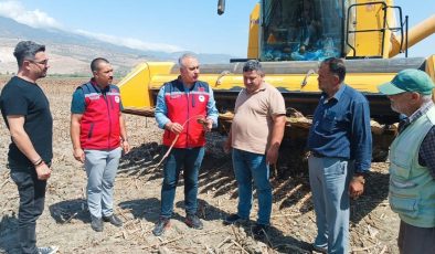 KIRIKHAN’DA AYÇİÇEĞİ HASADI BAŞLADI 
