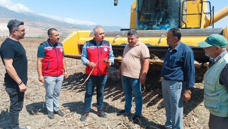 KIRIKHAN’DA AYÇİÇEĞİ HASADI BAŞLADI 