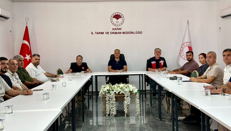 HATAY’DA GIDA SEKTÖRÜ SEZON ÖNCESİ MASAYA YATIRILDI