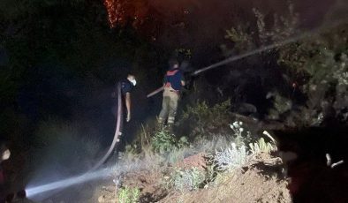 HATAY’DA ORMAN YANGINLARI KONTROL ALTINA ALINDI