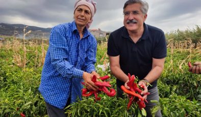 AK PARTİ’Lİ YAYMAN MUHTAR BİLE OLAMAZ DEDİLER MİLLETİMİZ BAŞKAN YAPTI