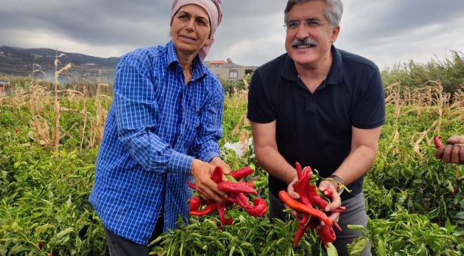 AK PARTİ’Lİ YAYMAN MUHTAR BİLE OLAMAZ DEDİLER MİLLETİMİZ BAŞKAN YAPTI