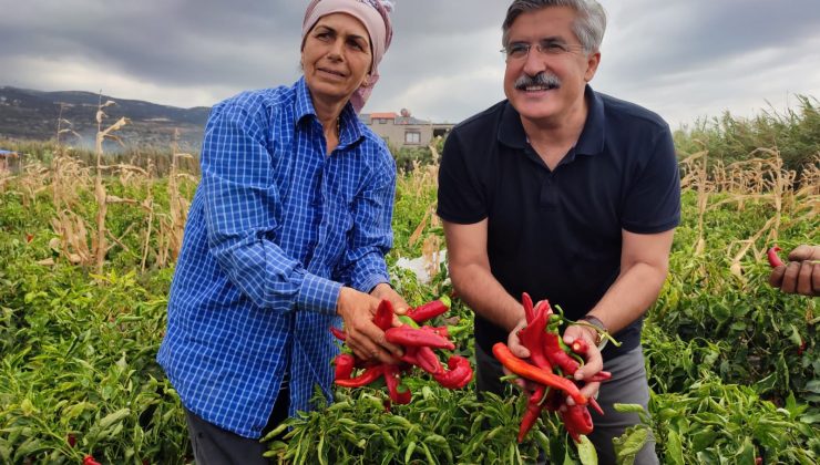 AK PARTİ’Lİ YAYMAN MUHTAR BİLE OLAMAZ DEDİLER MİLLETİMİZ BAŞKAN YAPTI