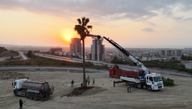 HBB’DEN AĞAÇLARA YENİ YAŞAM ALANI