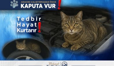 SOKAK HAYVANLARI HBB İLE GÜVENDE