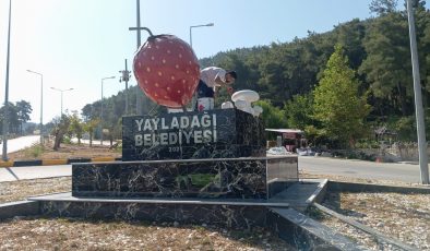 YAYLADAĞI HER GEÇEN GÜN GÜZELLEŞİYOR 