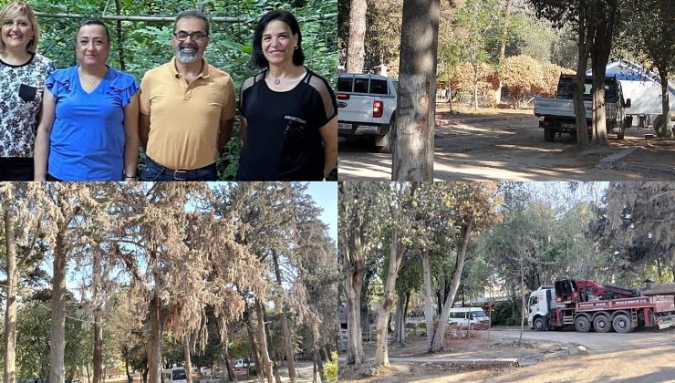 AÇKD: “ANTAKYA’NIN NEFESİ OLAN PARKIMIZI GERİ İSTİYORUZ!”