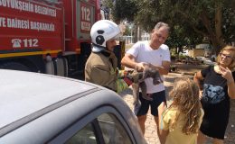 HATAY’DA PALMİYEDE MAHSUR KALAN KEDİ EKİPLER TARAFINDAN KURTARILDI   