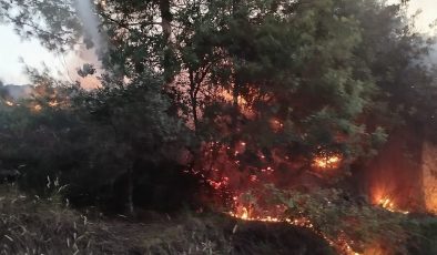 DÖRTYOL’DA ORMAN YANGINI BÜYÜMEDEN SÖNDÜRÜLDÜ   