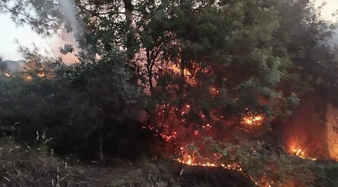 DÖRTYOL’DA ORMAN YANGINI BÜYÜMEDEN SÖNDÜRÜLDÜ   