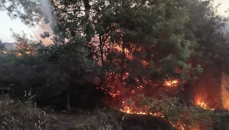 DÖRTYOL’DA ORMAN YANGINI BÜYÜMEDEN SÖNDÜRÜLDÜ   