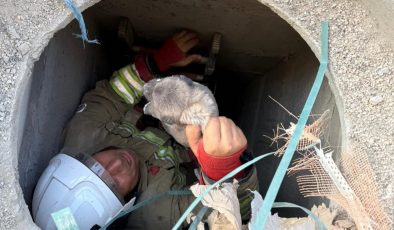 ANTAKYA’DA 5 METRELİK KUYUYA DÜŞEN YAVRU KÖPEK KURTARILDI   